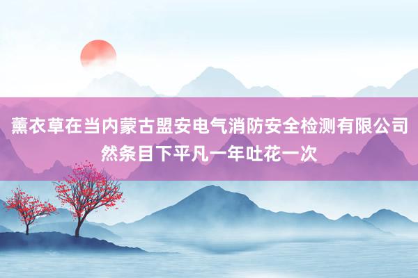 薰衣草在当内蒙古盟安电气消防安全检测有限公司然条目下平凡一年吐花一次